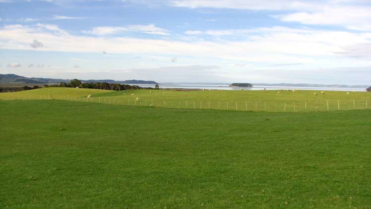 369 Burma Road Tapora_1