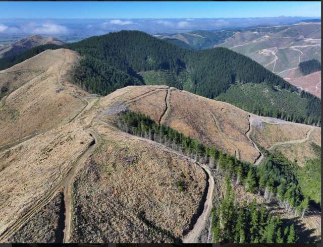 Te Moana Road Kakahu_2