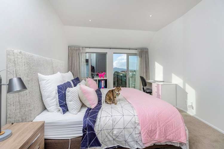 67a Patteson Avenue Mission Bay_21