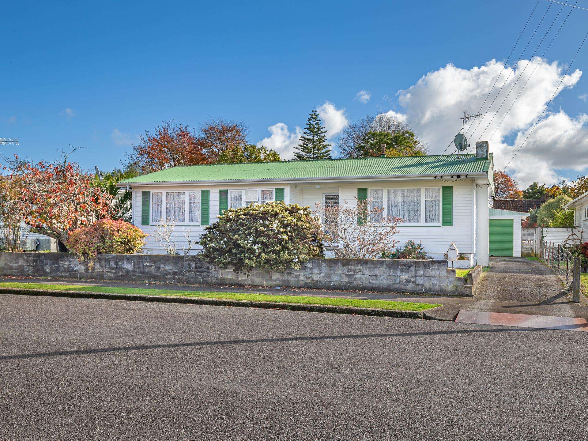 19 Green Avenue Levin_0