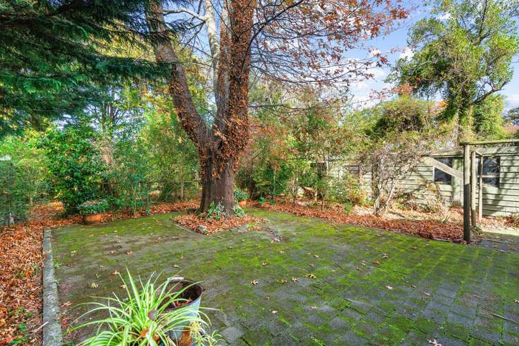 131 Main Street Greytown_17