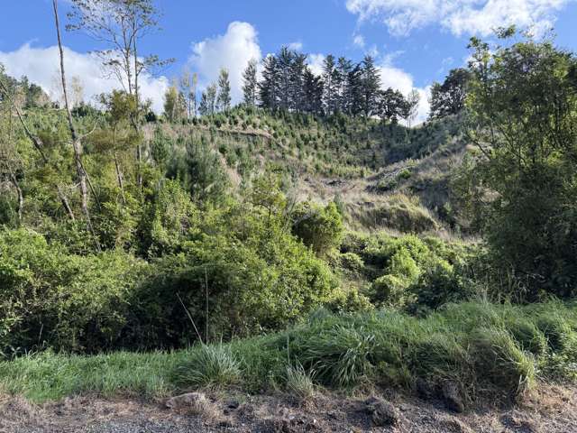 300 Ngapaeruru Road Dannevirke_4