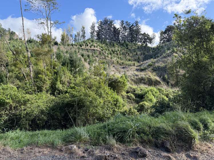 300 Ngapaeruru Road Dannevirke_4