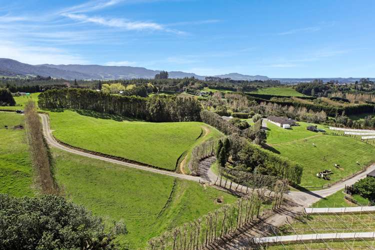 Thompsons Track Aongatete_7