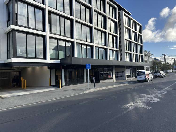 8 Rose Road Ponsonby_10