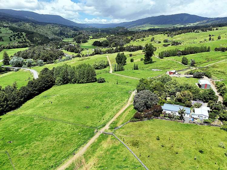 7046 State Highway 12 Waimamaku_16