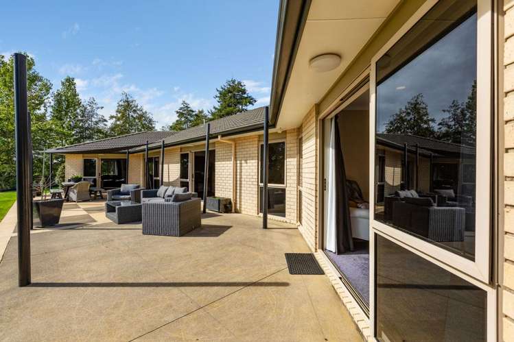 173 Dorset Road Hillsborough_18