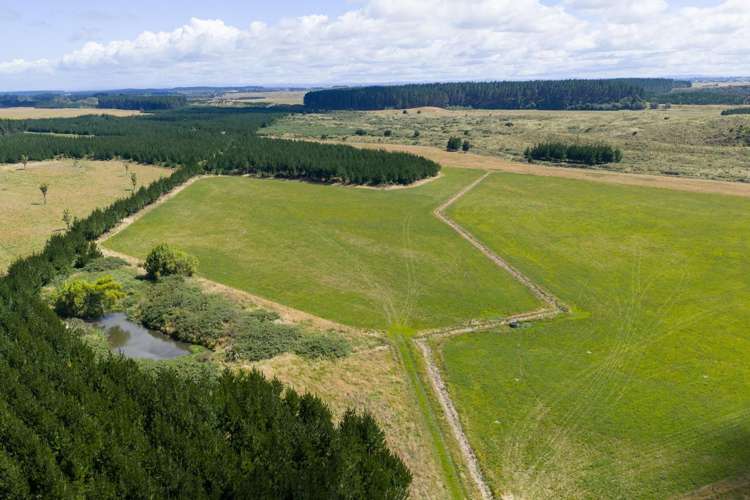 590 Brandon Hall Road Bulls_12