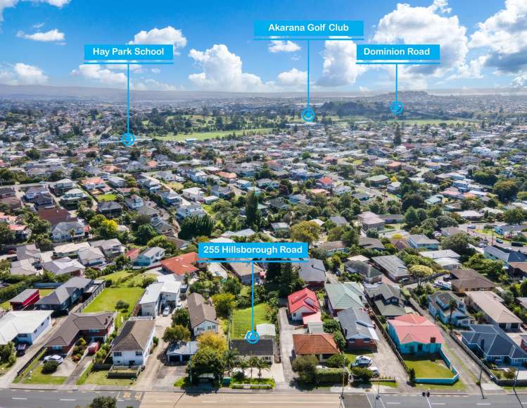 255 Hillsborough Road_5