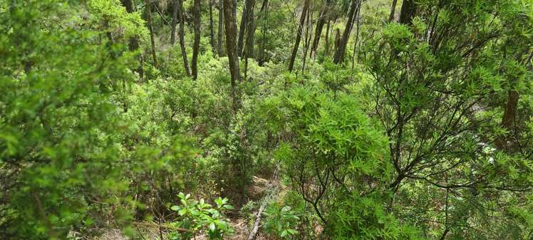 Garton Road Peria_15