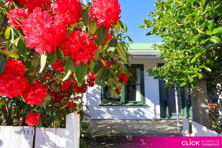 111 Macandrew Road South Dunedin_1