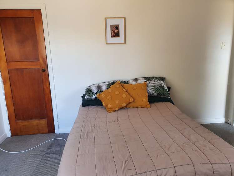 12 Guy Avenue Levin_11