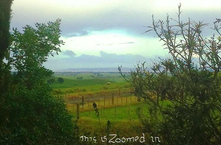 555 Rehia Road Ruawai_19