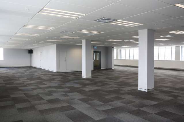 45 O'Rorke Road Penrose_1