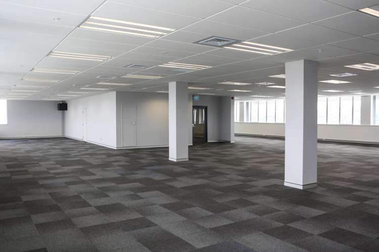 45 O'Rorke Road Penrose_1