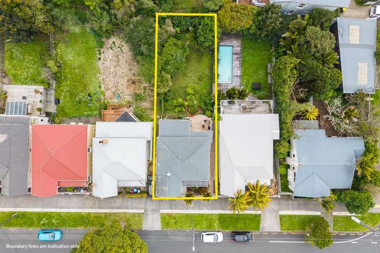 41 Williamson Avenue Grey Lynn_10