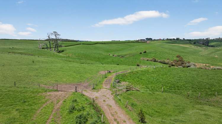 293 Ostrich Road Patumahoe_5