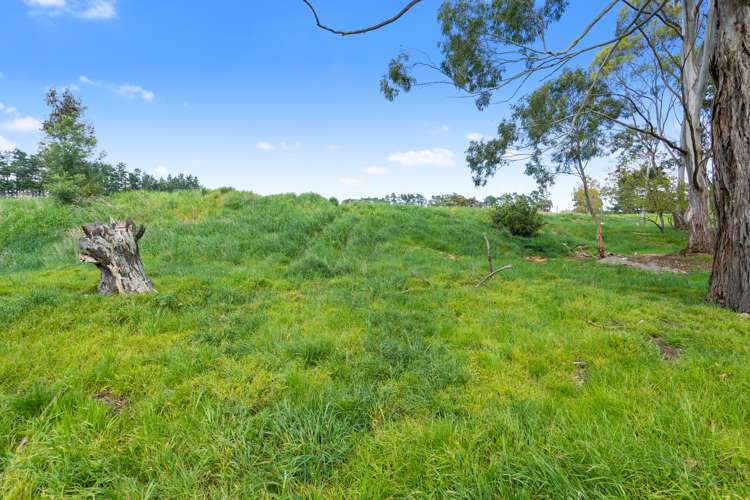 Wards Line Greytown_5