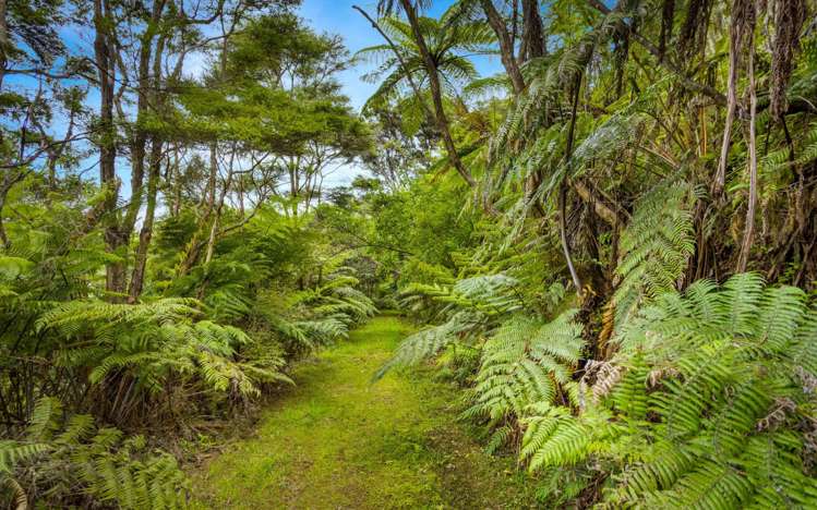 853B Old North Road Waimauku_9