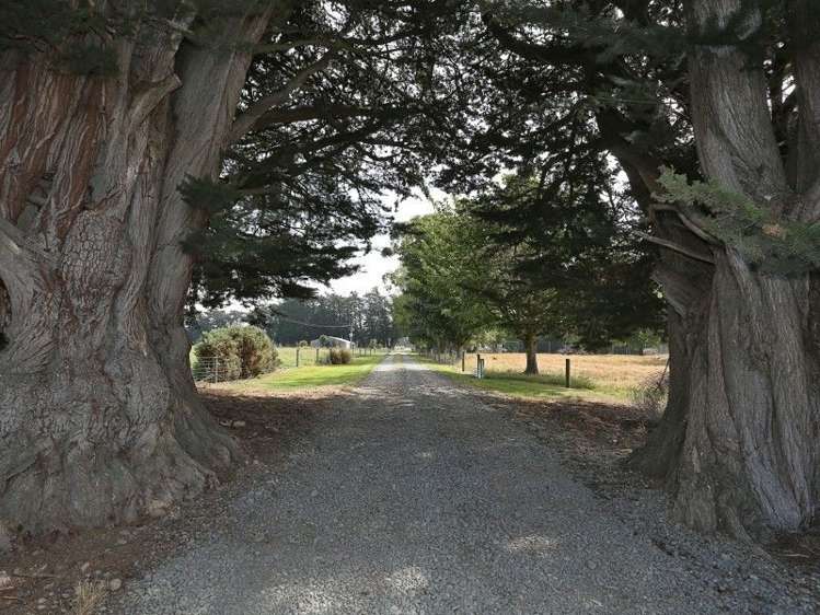 74 Reid Road Winton Surrounds_23