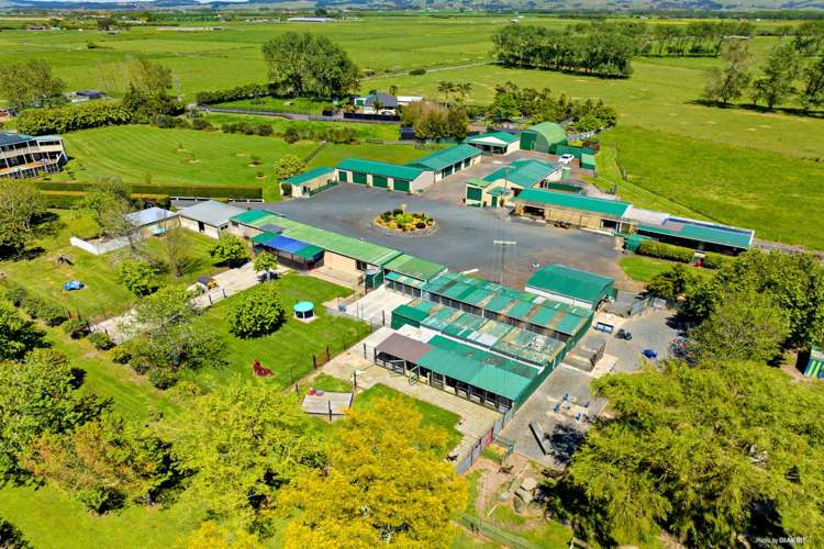 4 Kitson Road Aka Aka_19