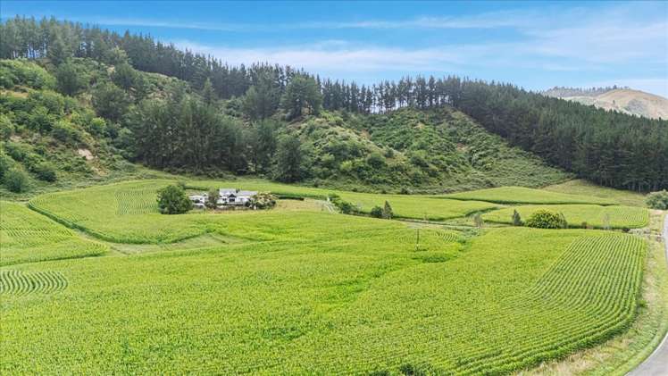 280 Kaitaringa Road Aria_26