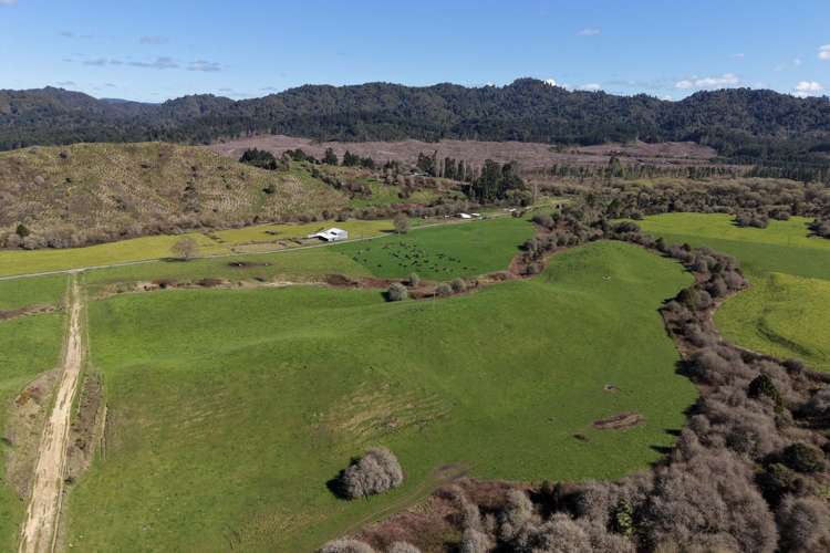 283 Minginui Road Galatea_14