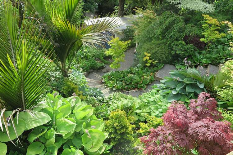 55 Valley Road Cashmere_22