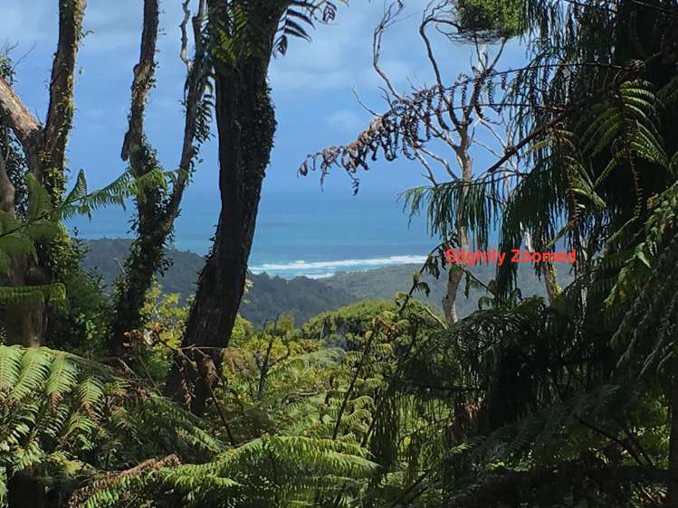 233 Piha Road_0