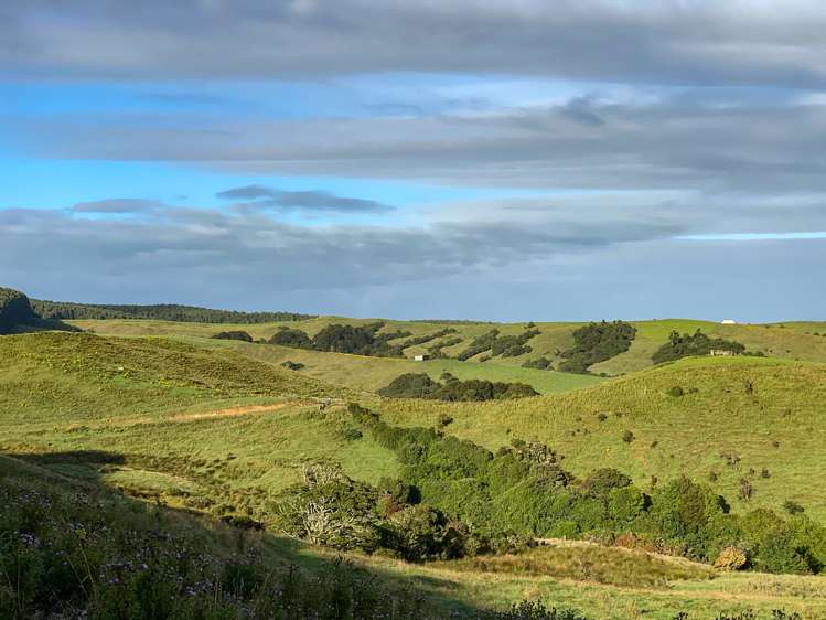 110 Harrison Road Tuatapere_8