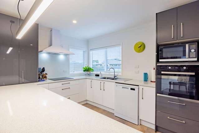 46 Hunter Drive Awatoto_1