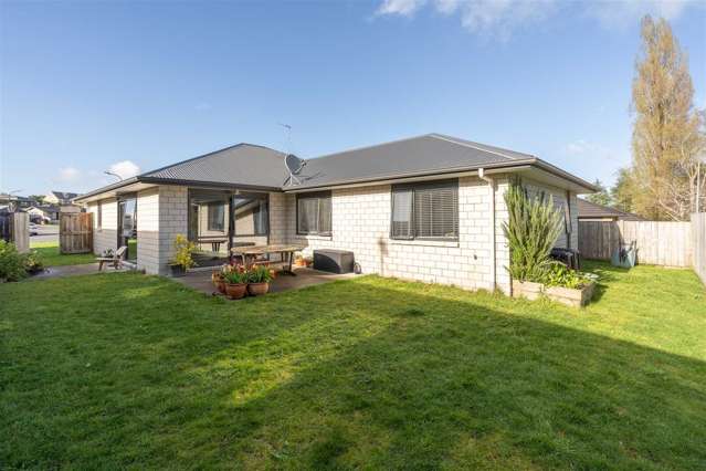 49 Tupelo Street Pukete_1