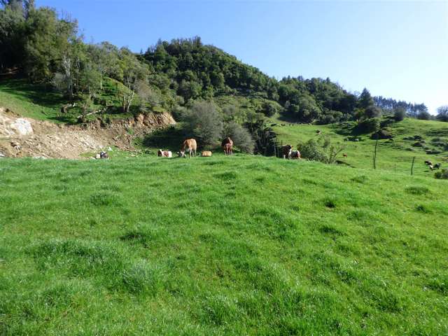 523 Honikiwi Road Otorohanga_2