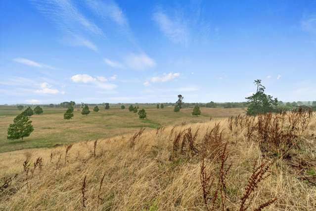 56 Onion Road Te Kowhai_1