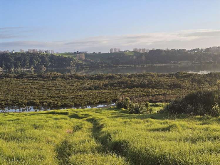 47 Matahehe Lane Tinopai_6