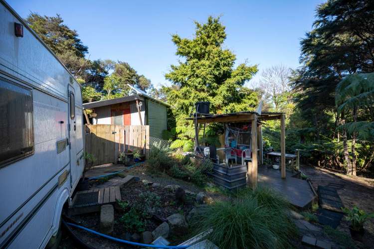 225b Driving Creek Road Coromandel_11