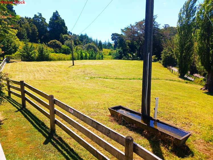 269 Takahue Saddle Road Takahue_8