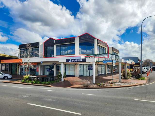 Elevated, Sunny and Spacious