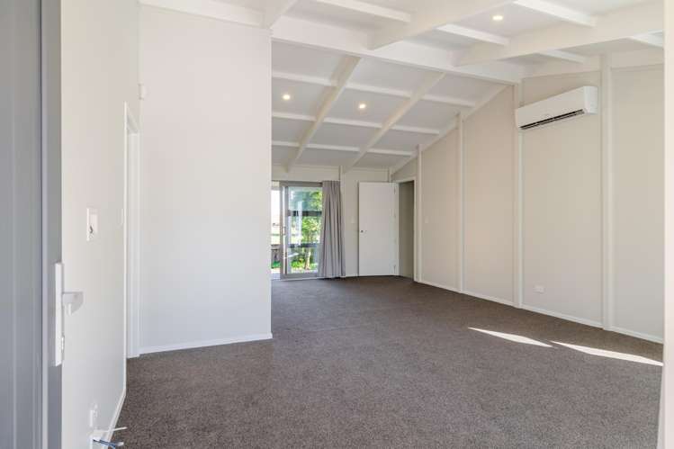 7 Fagan Street Bulls_8