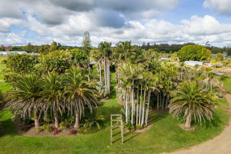 32 Wiroa Road Kerikeri_9