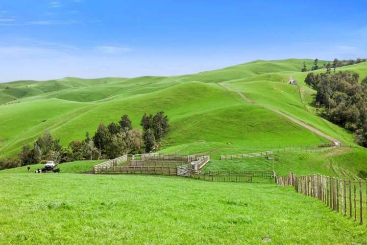 500 Tahuroa Road Tauwhare_26