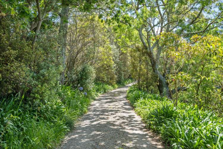 511 Glenmohr Road Waipu_3