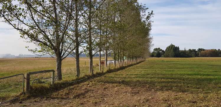 64 Rosewill Valley Road Washdyke Flat_21