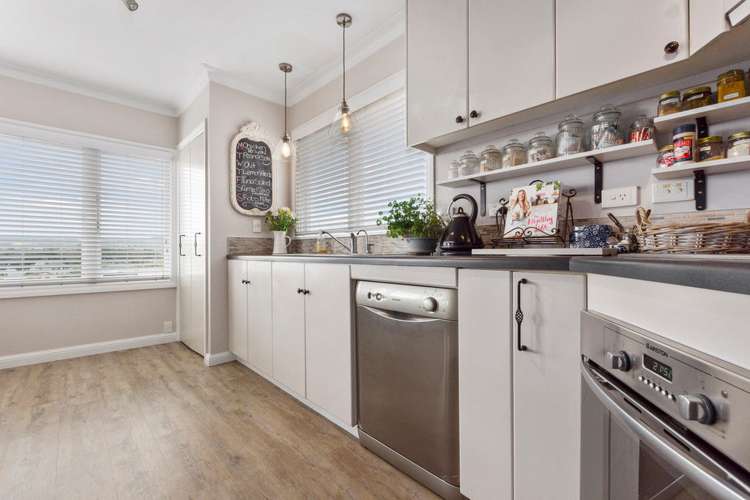 34 Fourteenth Avenue Tauranga South_13