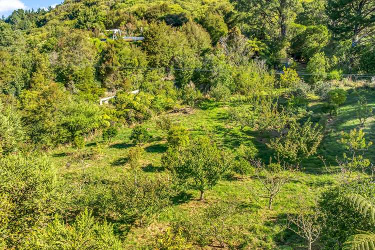 123 Marahau Valley Road Marahau_19