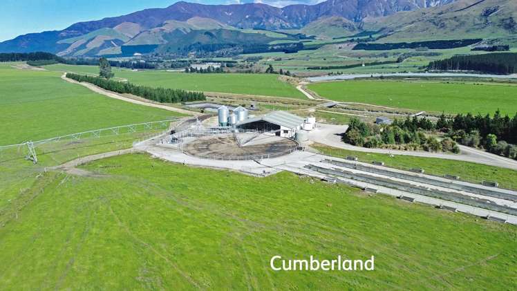 Aurora Dairies Te Pirita_6