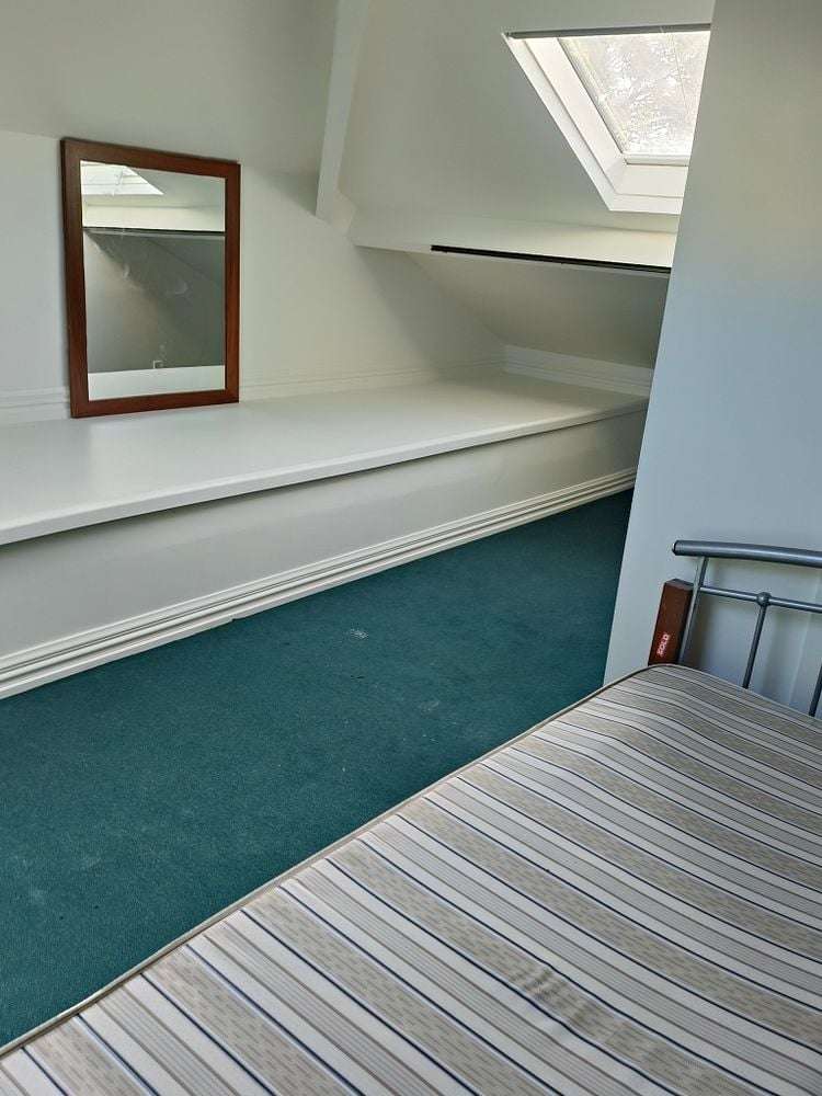 50 Riddiford Street Newtown_11