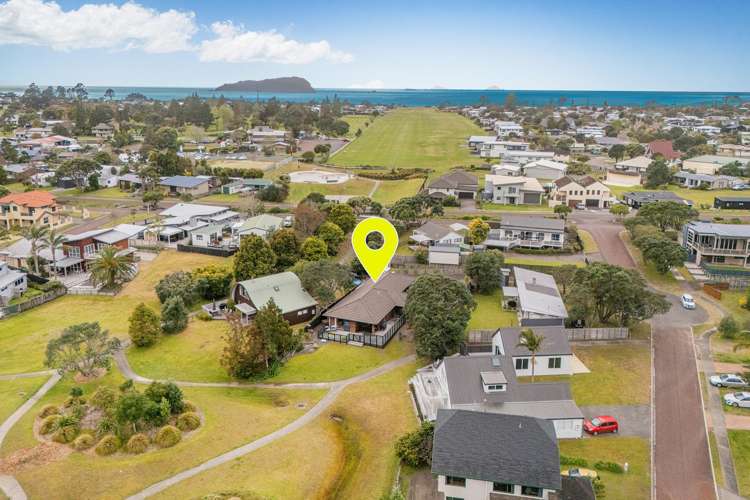 4 Ajax Head Pauanui_15