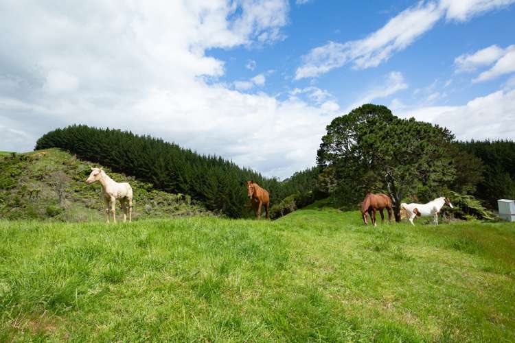 599 Te Puroa Road Ngaruawahia_7