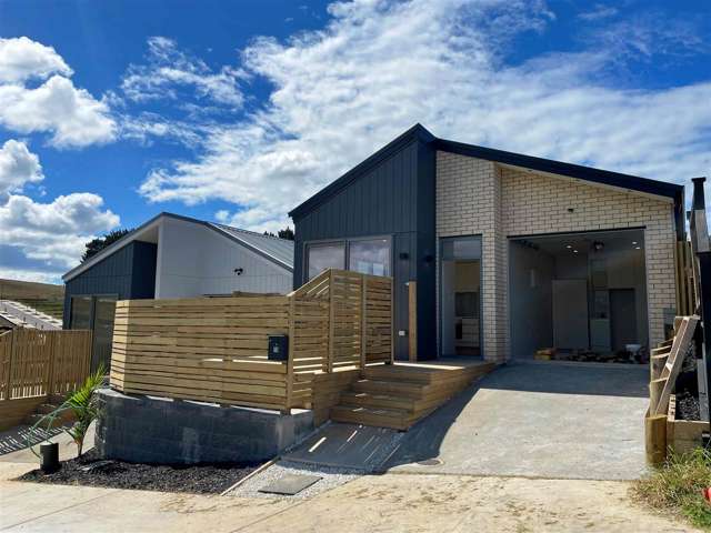 Stunning Brand New Single Level Living with Garage